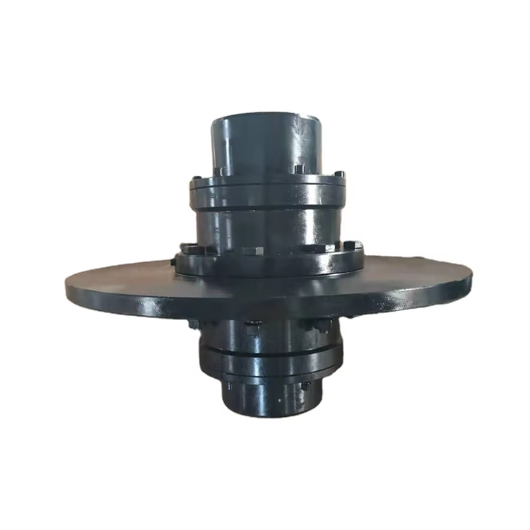 WGP Drum Gear Coupling With Brake Disc